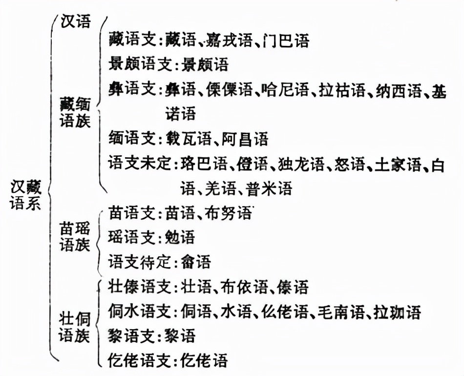 漢語屬于什么語系-圖1