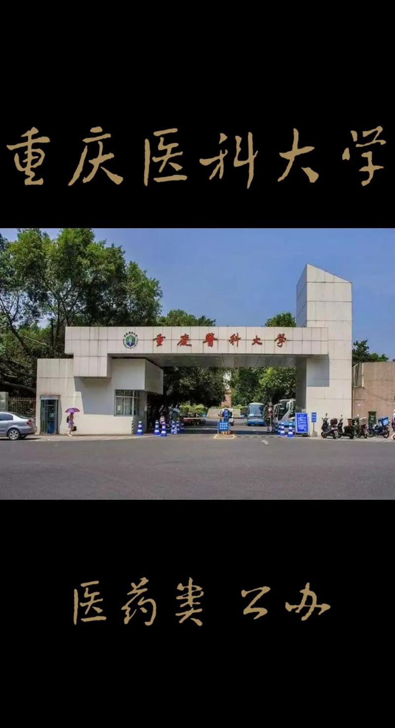 重慶醫科大學是一本嗎-圖1
