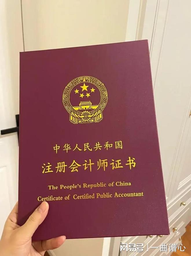 注冊會計師是干嘛的-圖1