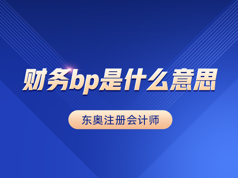 財務(wù)bp是什么意思-圖1
