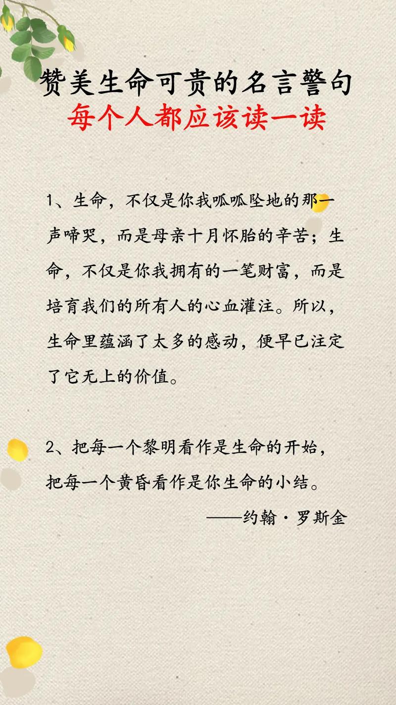 關于生命的名言警句-圖1