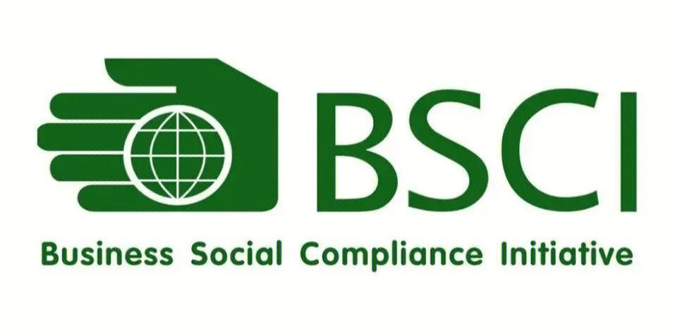 bsci是什么意思 一般要多少錢-圖1
