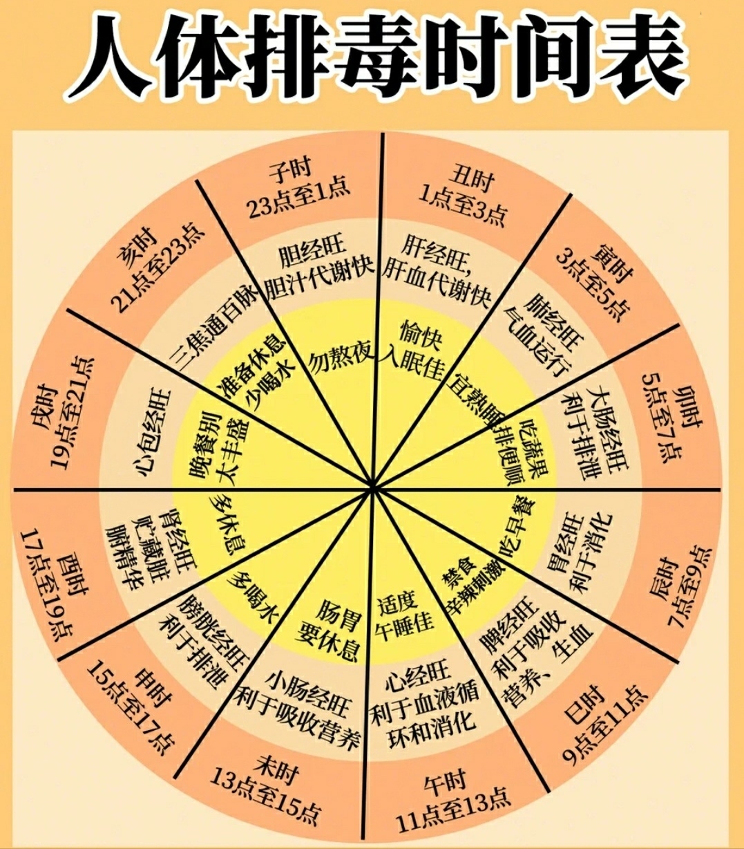 人體生物鐘作息時(shí)間表-圖1