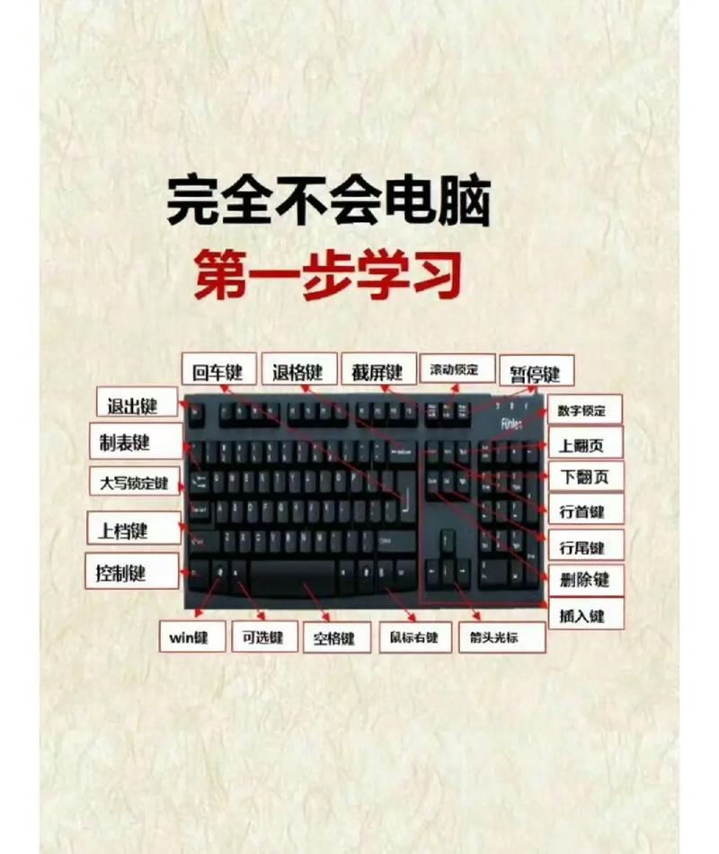 不會(huì)電腦的人如何快速學(xué)電腦-圖1