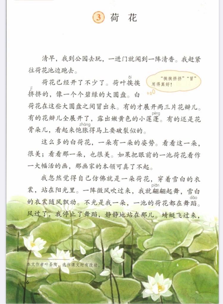 荷花說荷葉是我的什么-圖1