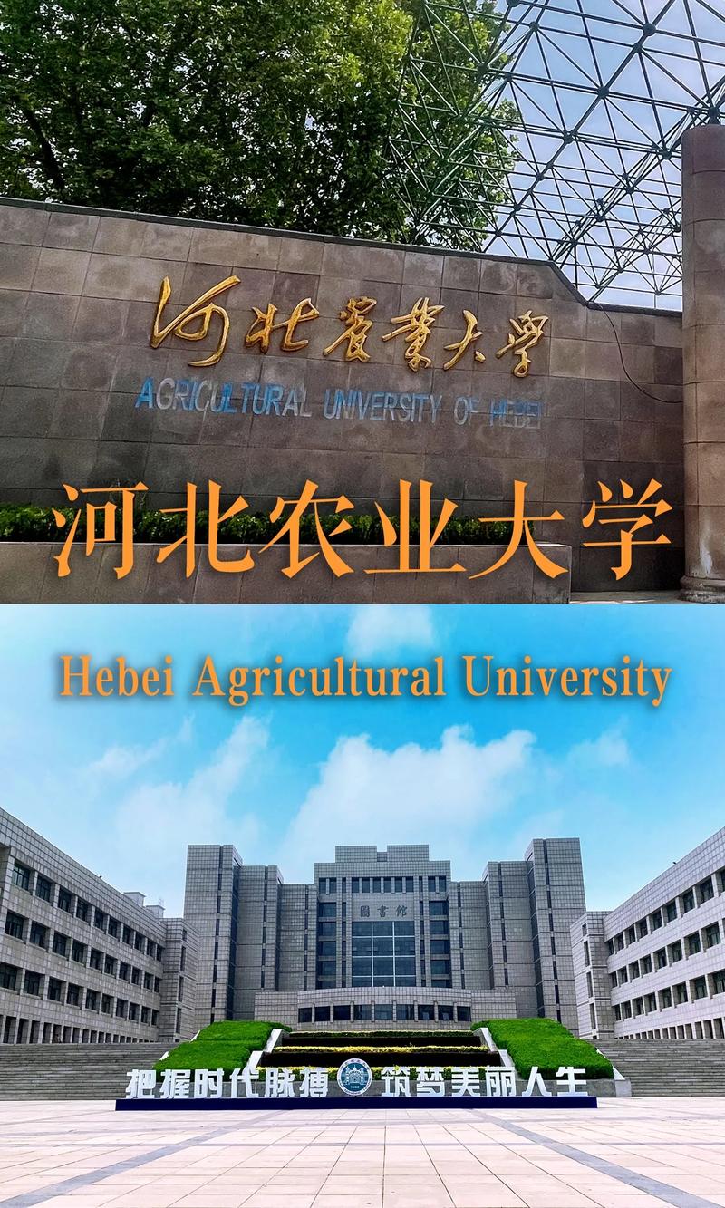 河北農大是幾本學校-圖1