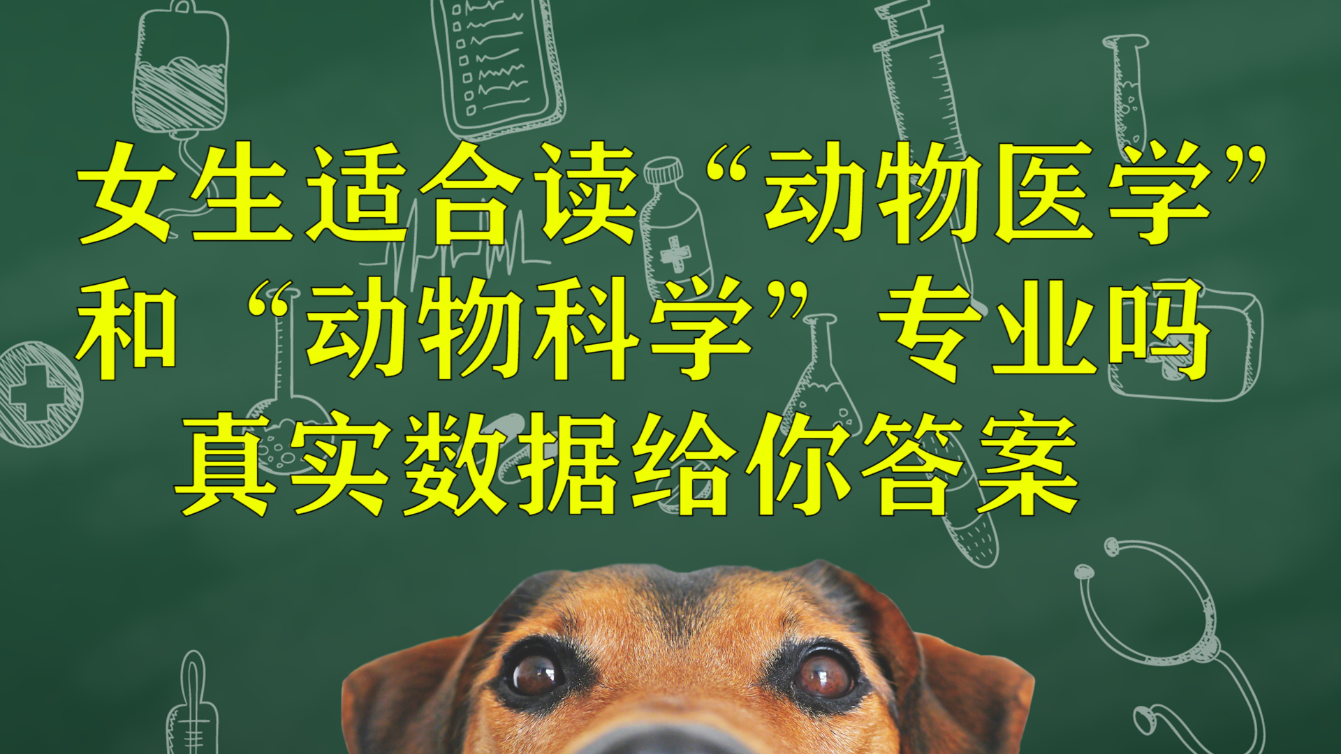 女生適合學動物醫學專業嗎-圖1