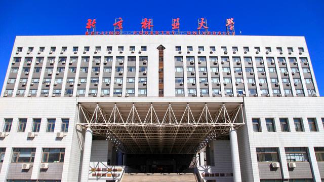 北京林業大學是雙一流大學嗎-圖1
