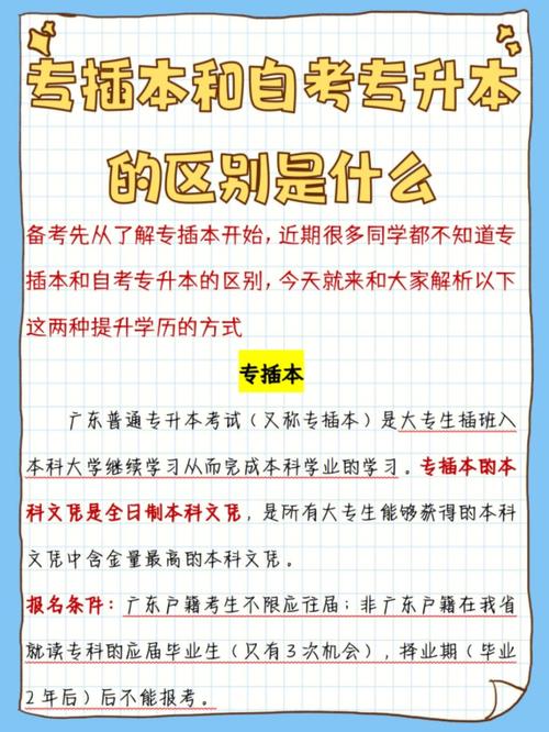 花錢買專升本犯法嗎-圖1