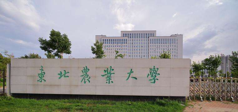 哈爾濱農業大學是985211嗎-圖1