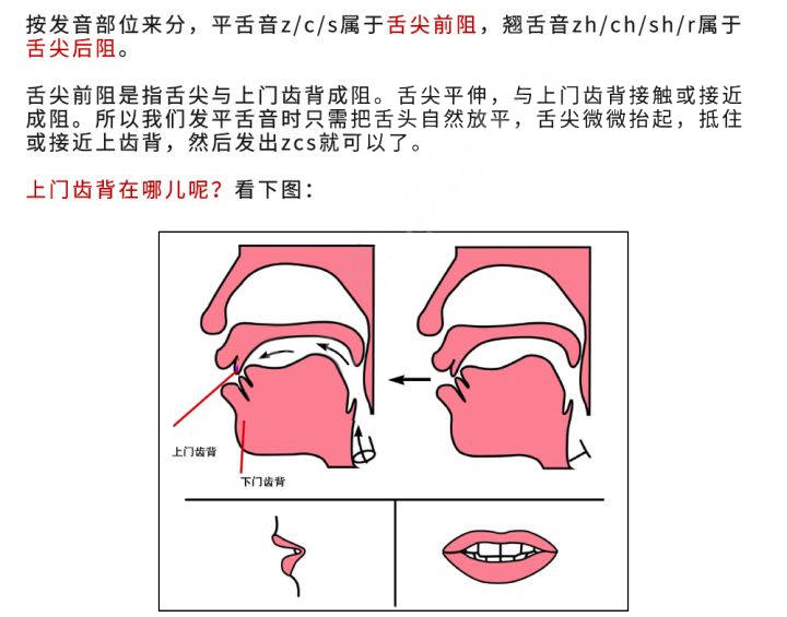 怎么區分平舌音和翹舌音-圖1