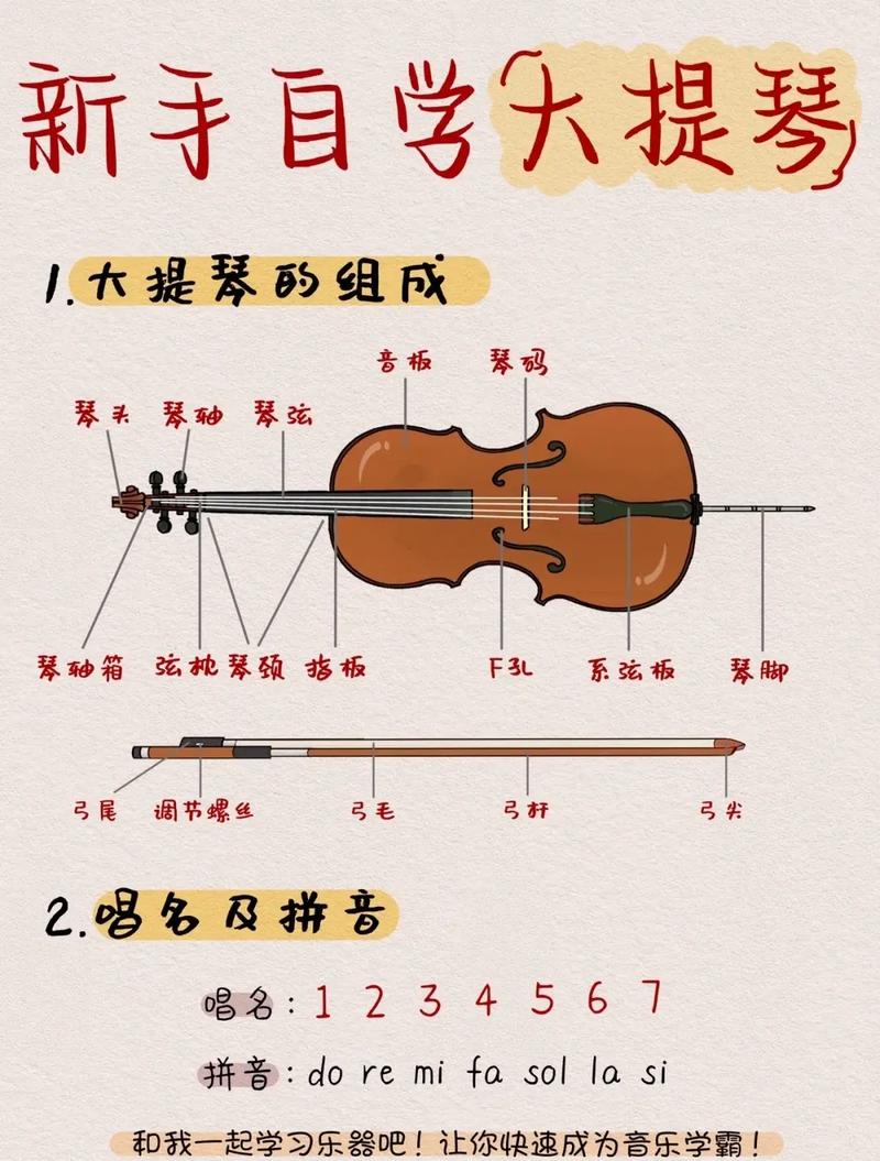 大提琴幾歲開始學最好-圖1