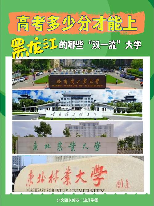 東北農業大學是雙一流嗎-圖1