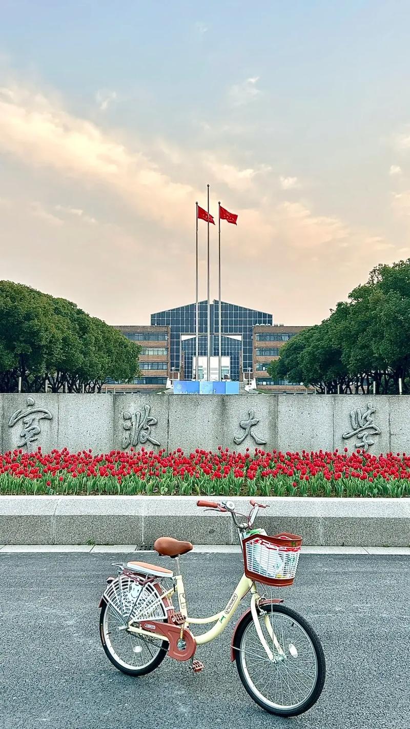 寧波大學(xué)是雙一流大學(xué)嗎-圖1