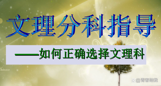 法律是文科還是理科-圖1
