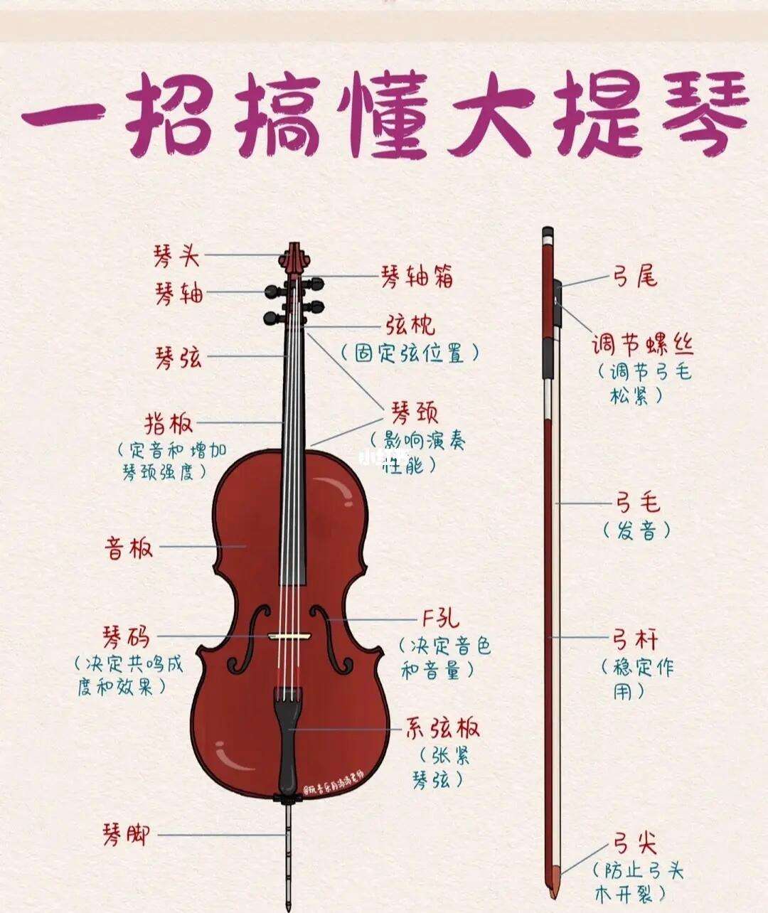 學大提琴的危害-圖1