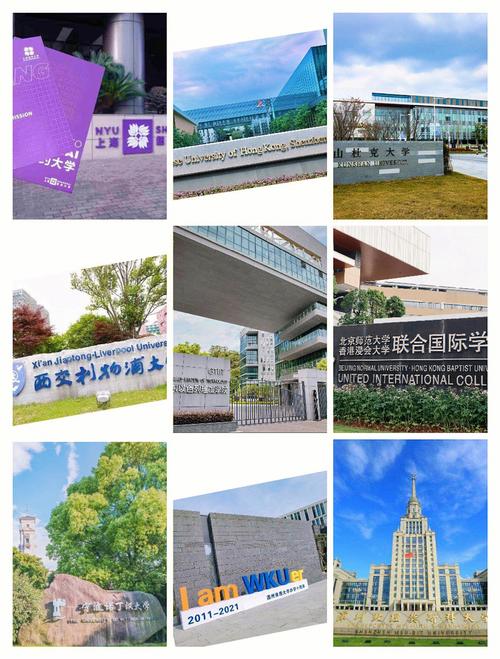 中外合作大學有哪些-圖1