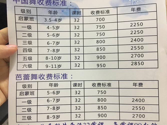 舞蹈藝考費用大概要多少錢-圖1