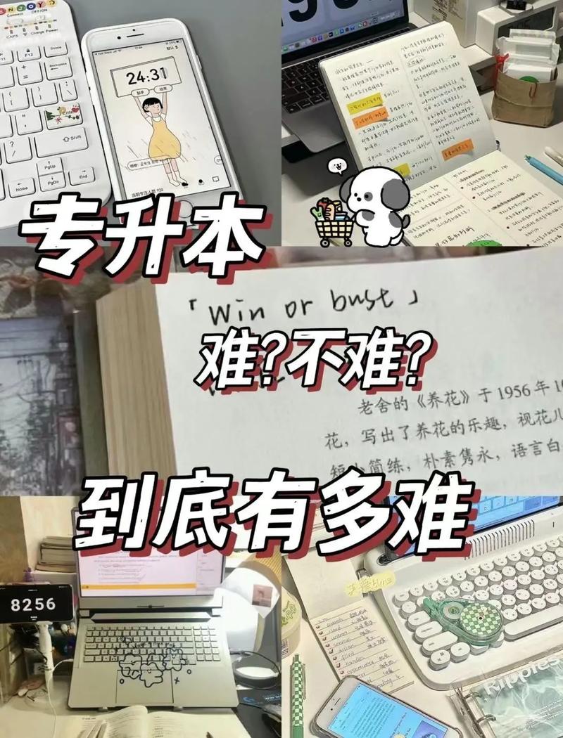 電子商務專升本難嗎-圖1