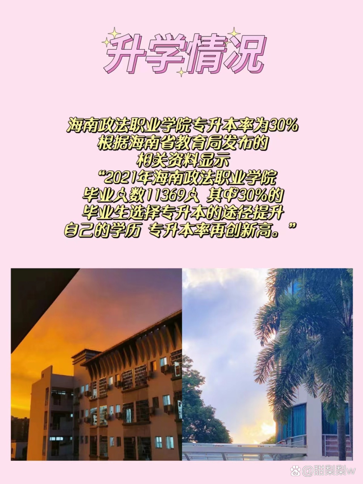 海南政法職業學院專升本-圖1