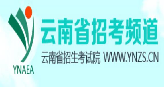 云南省招考頻道(官網入口)-圖1
