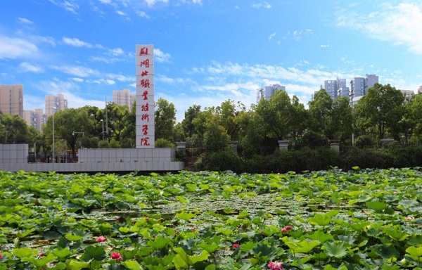 湖北大學職業技術學院簡介-圖1