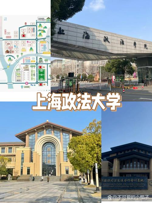 上海政法大學是211還是985學校-圖1