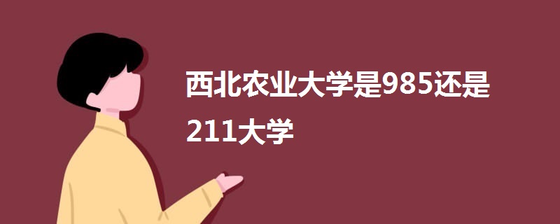 西北農業大學是985還是211大學-圖1