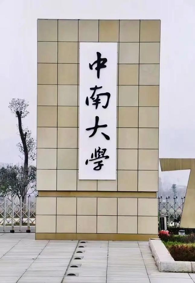 湖南中南大學是985還是211大學-圖1