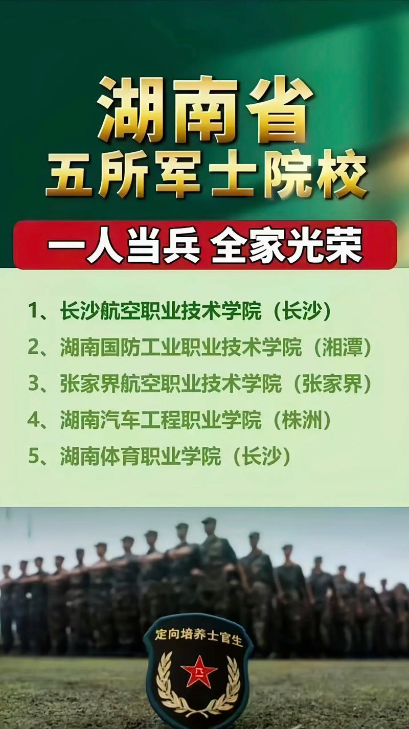 定向士官淘汰率多高？具體數據如何？-圖1
