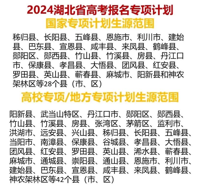 2024河南地方專項計劃有哪些？具體政策是什么？-圖1