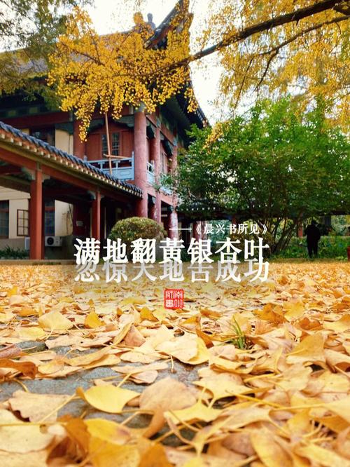 南京師范大學隨園校區地址是什么？如何查詢？-圖1