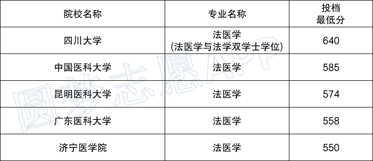 報(bào)考法醫(yī)的基本條件-圖1
