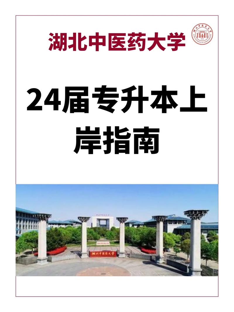湖北中醫(yī)藥大學(xué)專升本介紹-圖1