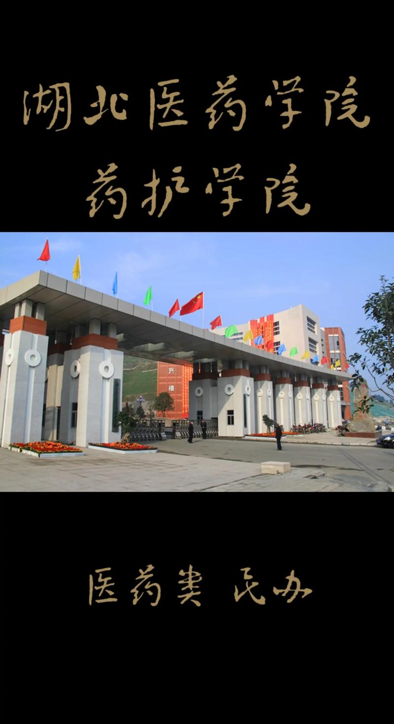 湖北醫藥學院藥護學院怎么樣-圖1
