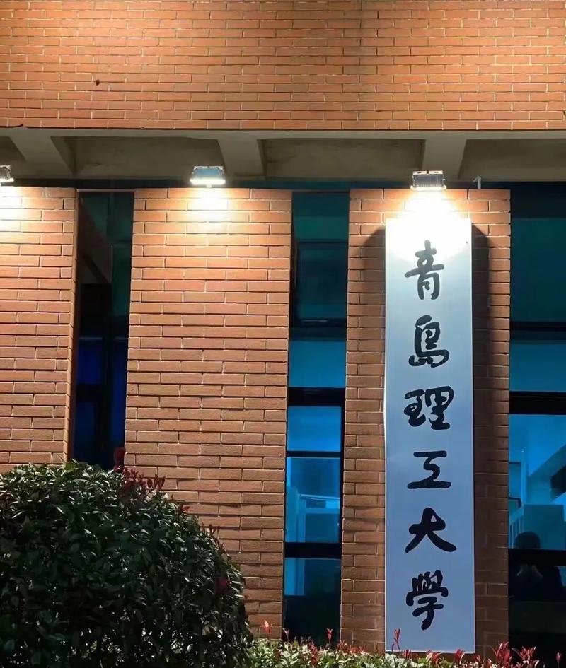 山東專升本最好的大學-圖1
