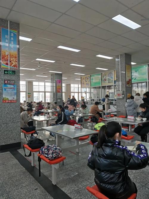 石河子大學教務一體化入口（附網址+流程）-圖1