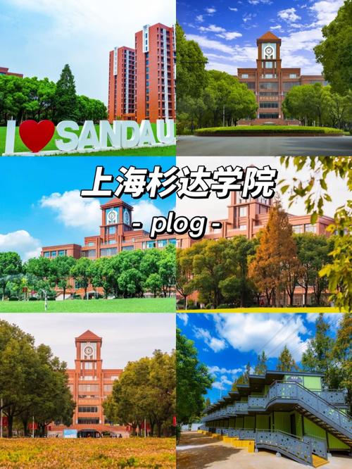 上海杉達學院教務處登錄入口（附網址+流程）-圖1