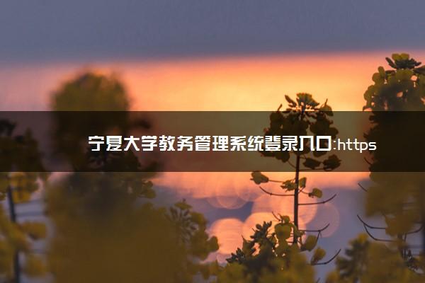 寧夏大學教務管理系統入口（附網址+流程）-圖1