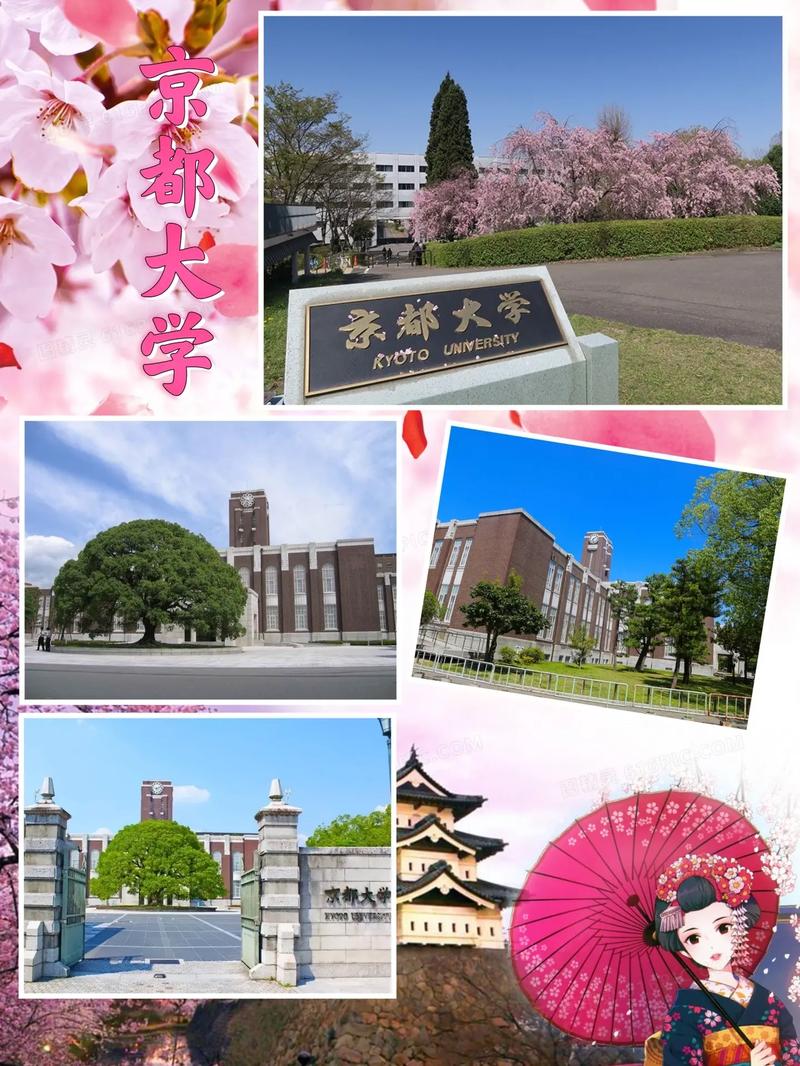 京都大學相當于國內哪所大學-圖1