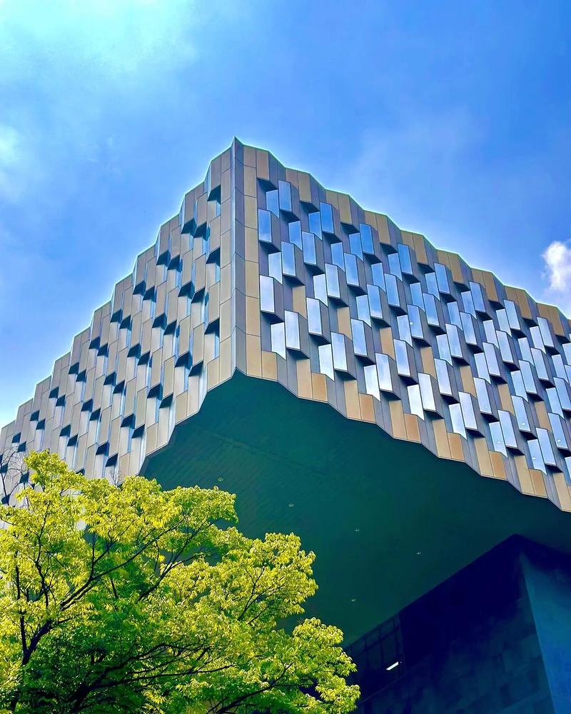 韓國首爾大學介紹-圖1