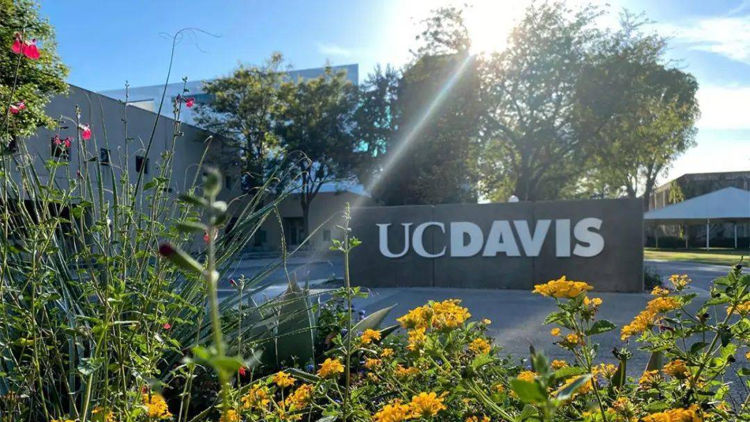 ucdavis大學世界排名第幾-圖1