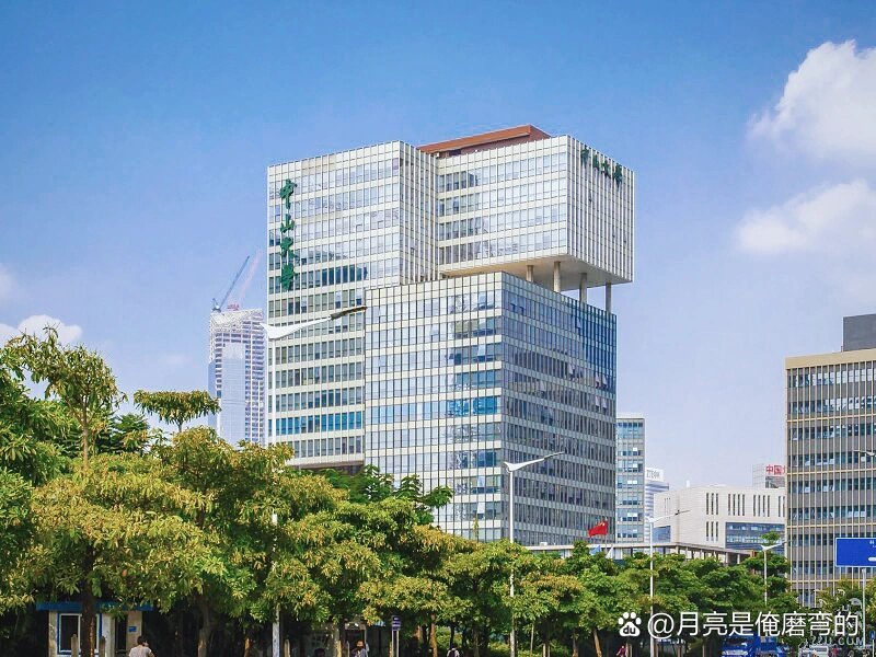 中山大學(xué)深圳研究院-圖1