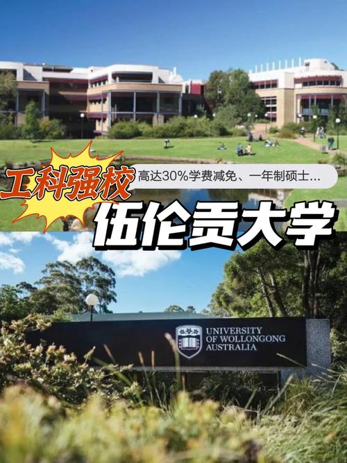 伍倫貢大學相當于國內什么檔次？什么水平？-圖1