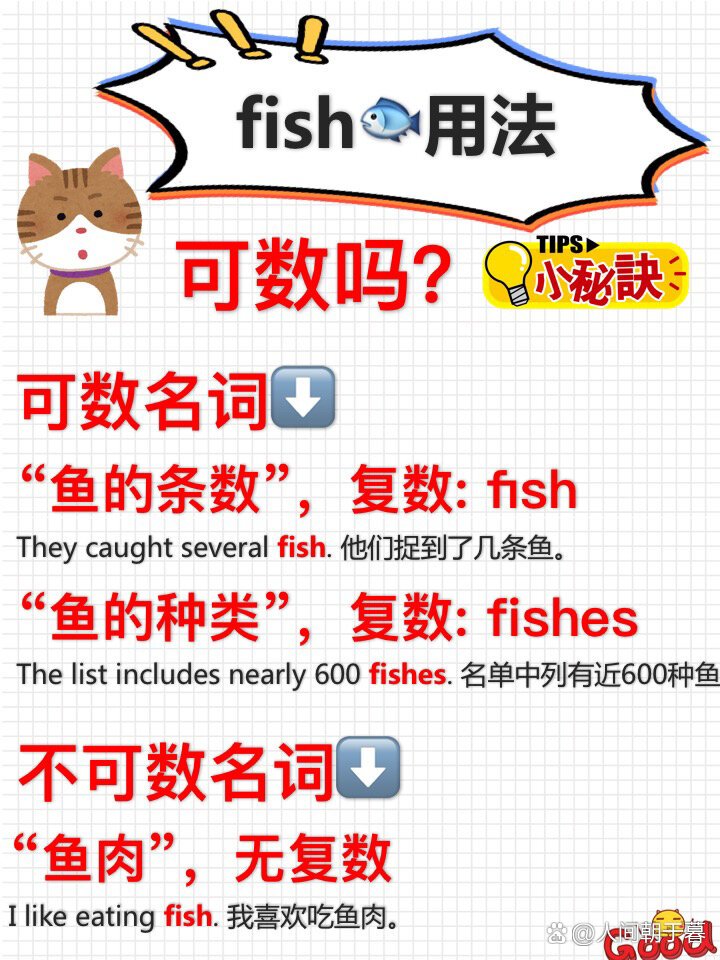 fish可數還是不可數(詳解)-圖1