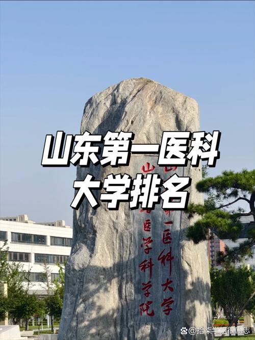 2024年山東醫學院排名-圖1