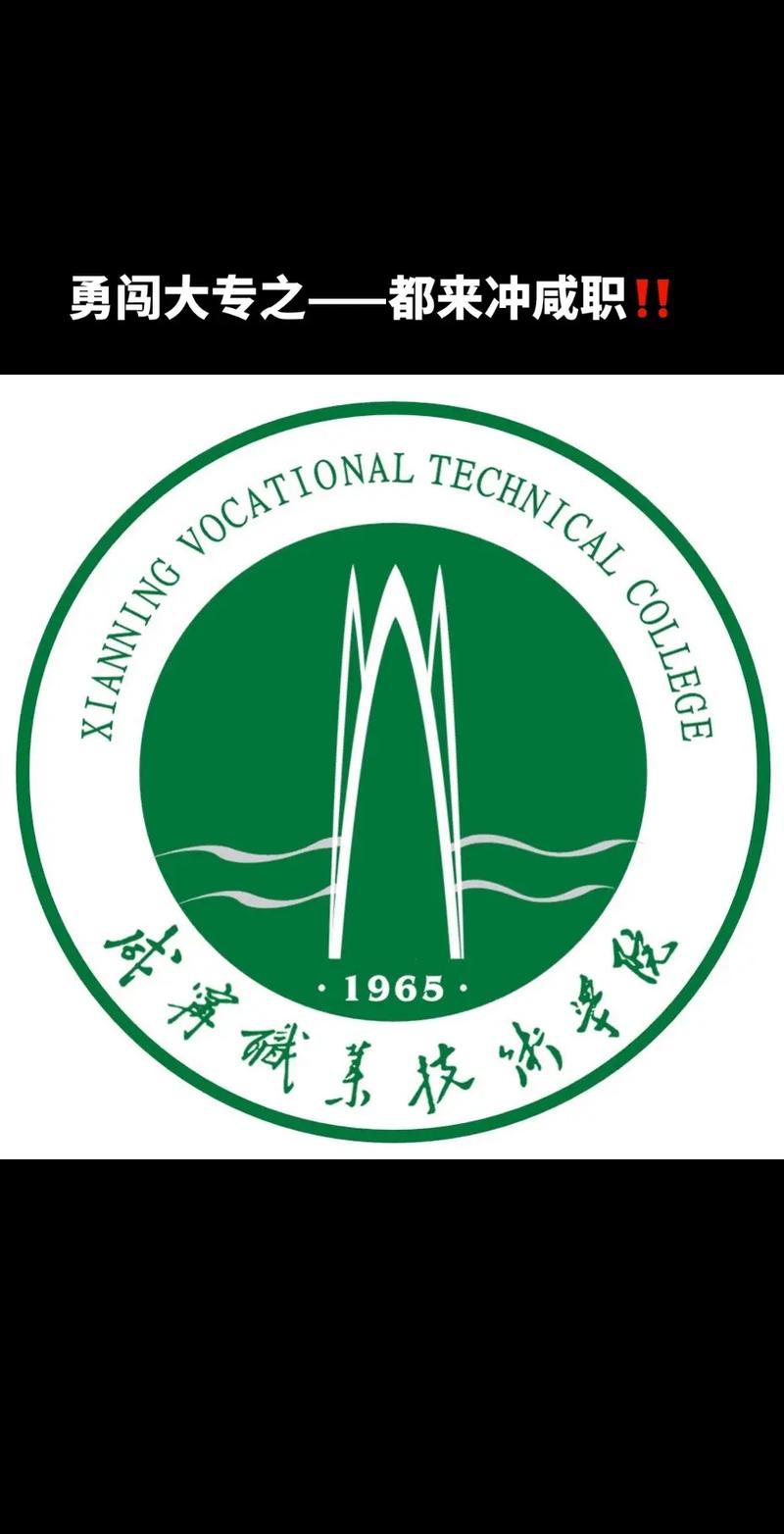 咸寧職業技術學院可以專升本嗎-圖1