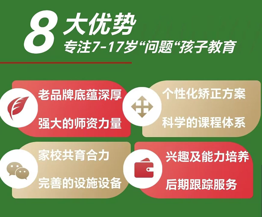 湖北青少年網(wǎng)癮，夜不歸宿，早戀怎么辦？送哪里管教推薦問題少年糾正學(xué)校（專注10-18歲青少年）-圖3