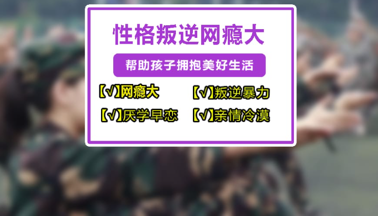 紐特心理-專注改善江蘇淮安青少年網癮/叛逆、不上學_孩子_生活...-圖3