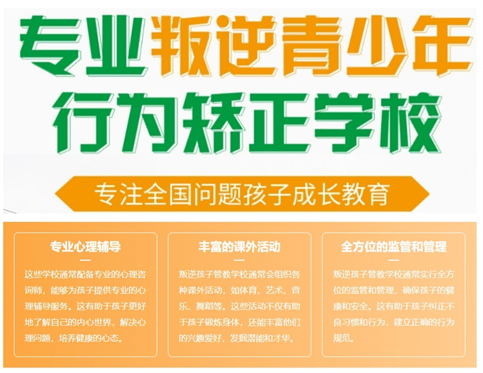 湖北隨州網(wǎng)癮少年心理疏導(dǎo)全方位管教學(xué)校-圖1